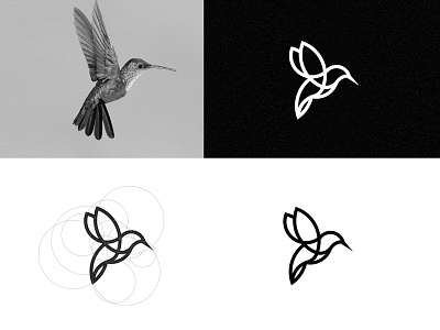 Humming Bird animal bird branding humming illustration line logo vector