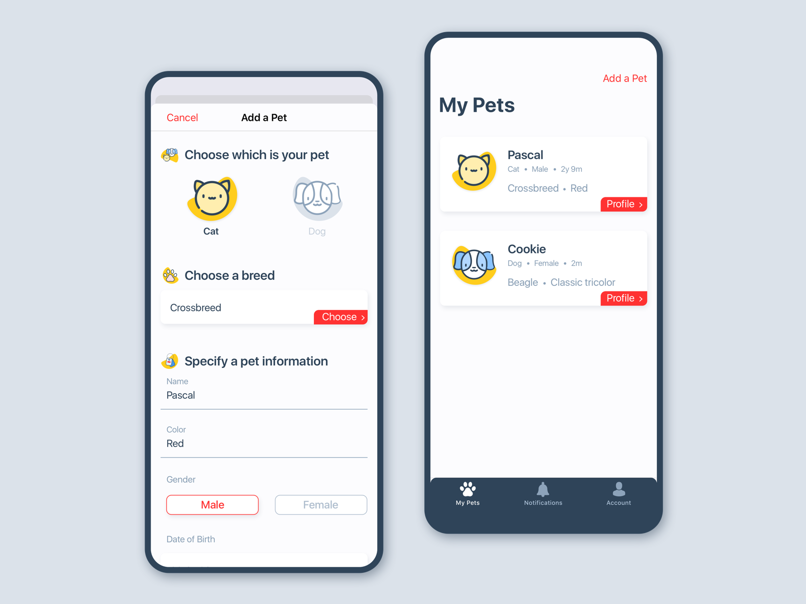 pet-passport-creation-of-a-pet-by-anna-sliesarienok-soboleva-on