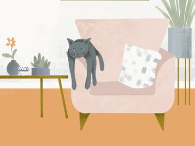 Fun with scenes animation cat chilling house living room