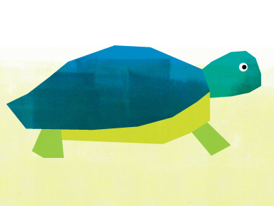 Hi Dribbblers debut illustration turtle wwf