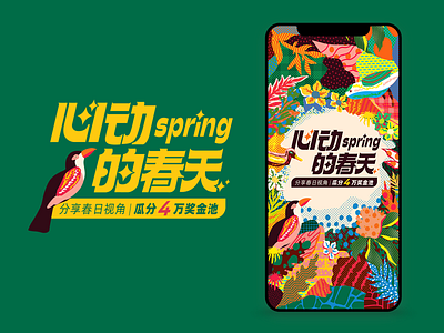 spring color color. design ui