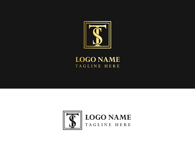 Letter TS logo mark