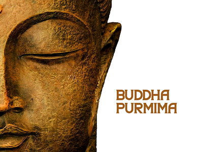 Buddha Purnima Vesak 2d branding branding design buddha buddhapurnima clean design social media vesak