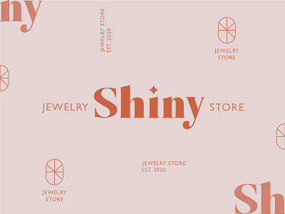 Shiny Brand Concepts brand brand identity design graphic design identity logo logo design minimalist type typography logo