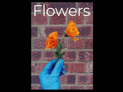 DAY 52. flowers graphic design graphic designer photography poster poster design sans serif type typography
