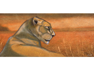 A young lioness animal cat character hunter illustration lion lioness prairie pride rest