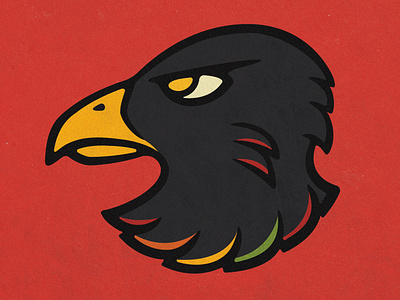 Chicago (Black)Hawks Rebrand bird branding hawk hockey logo sports