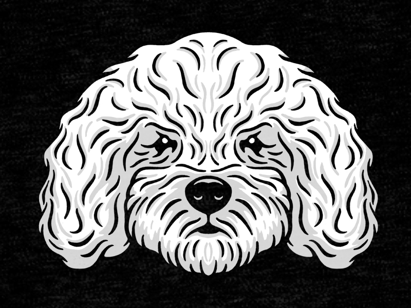 Lucas the Puff dog illustration mini goldendoodle puppy wavy