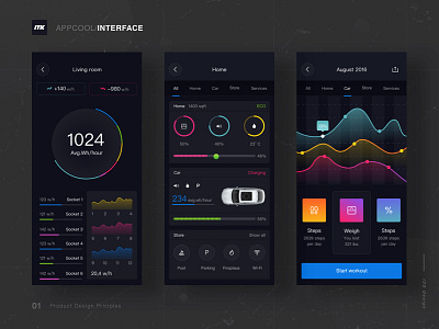 Car Interface