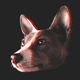 Dribbble profile picture for @guto