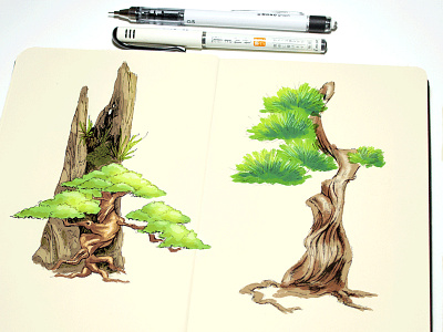 Bonsai Sketch analog bonsai color digital illustration japan japanese nature sketch sketchbook traditional tree