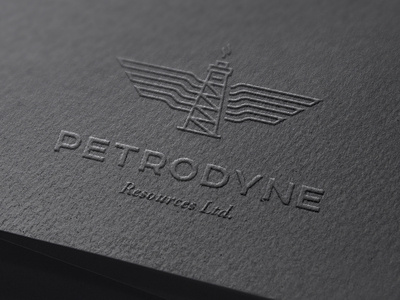 Petrodyne Resources Logo