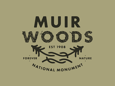 Muir Woods National Monument design illustration wip