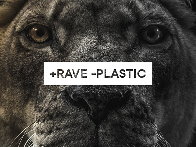 + Rave - Plastic Campaign 2