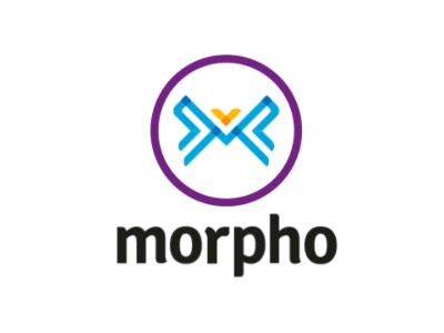 Morpho Logo branding butterfly logo motion