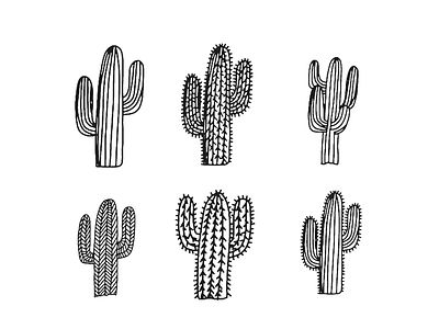Cactus x6 cacti illustrations saguaro