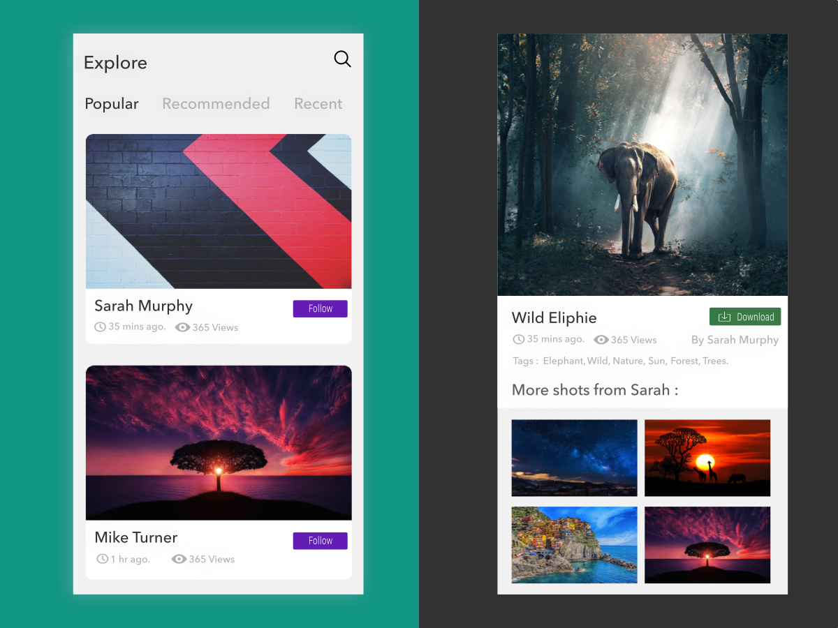 stock photos app by Muajeez Aafaque on Dribbble
