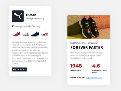 Brand Design app branding clean colorful creative design dribbble best shot puma rebound