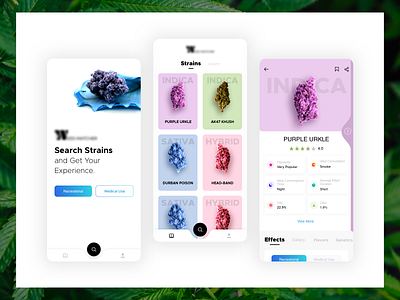Explore Weed Mobile Application