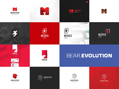 Bear Evolution bear color logo many medved pack red russia tambov three