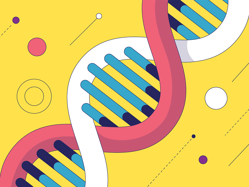 DNA by Aki Tanninen on Dribbble