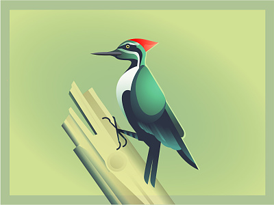 Mr Woodpecker adobe animal bird gradient green illustration nature vector wood woodpecker