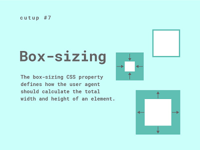 Cutup #7 Box-sizing box sizing box sizing code codesign css cutup infographic ui ui ux