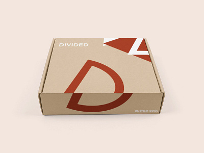 Divided Box Design branding design identity design packaging design print design