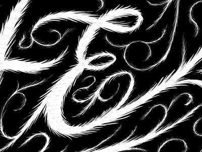 Fot em hairy detail 01