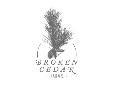 BCF Exploration 2 broken cedar cone design farms logo needles pine