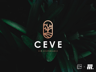 CEVE logo branding design ecology graphic design identity illustrator landscaper lemon logo natural photoshop vector wild