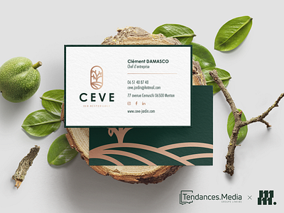 CEVE business card apple bio business business card card cdv design graphic design green identity illustration illustrator logo natural photoshop vector
