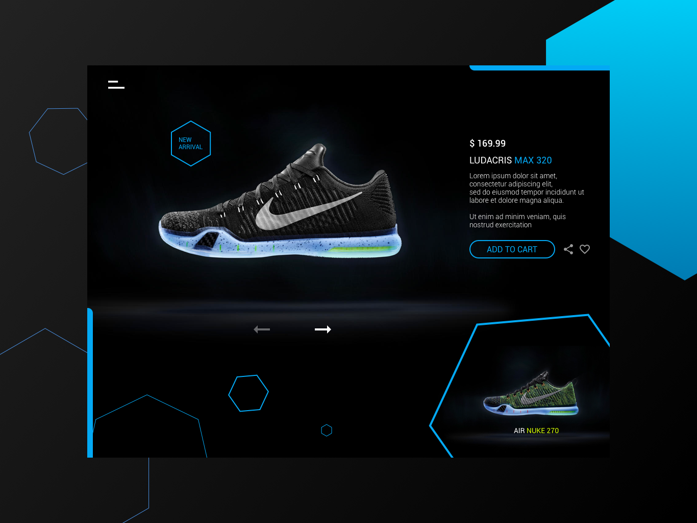 the shoe website
