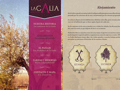 La Galia country house farmhouse vineyards web web design wine