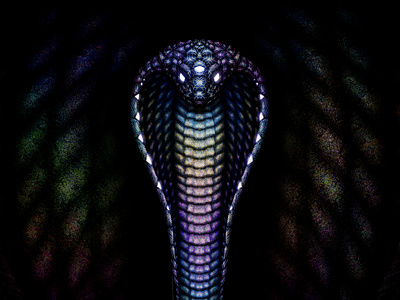 KOBRA animal art cobra color design detail geometric illustration photoshop snake texture thirdeye