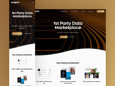 Audigent Website Design creative data management data visualization designer entertainment gold golden illustrations inspiration landing page lifestyle mobile first music responsive ui ux uxdesigner webdesigner website website design