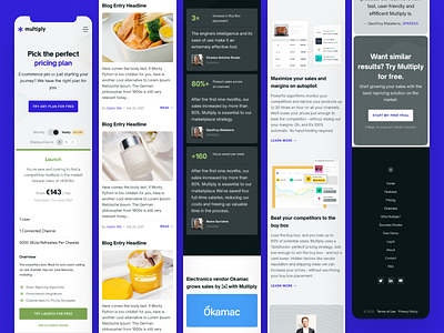 Multiply - Mobile screens blog features footer landing page mobile first mobile interface mobile ui mobile web mobile website narrow pricing page responsive web startup ui ux viewport web web site website website design
