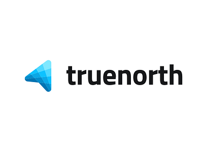 TrueNorth Logo brand dashboard location locator logo logomark map north pin symbol ui kit web app