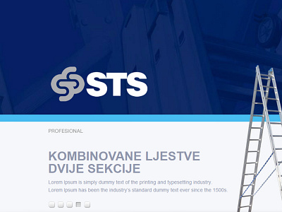 Sts website
