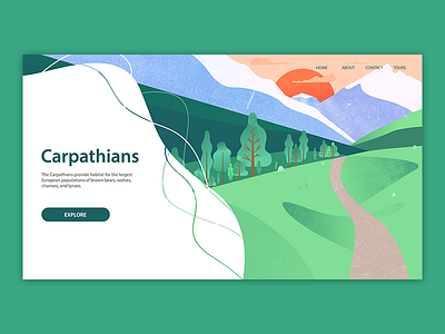 Carpathians - concept illustration for tourism platform flat forest illustration textures traveling vector