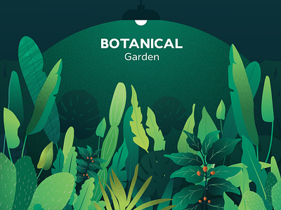 Botanical garden- illustration botanical illustration flat illustration nature plants textures vector