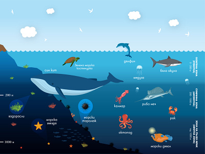 Ocean Encyclopedia Page Design