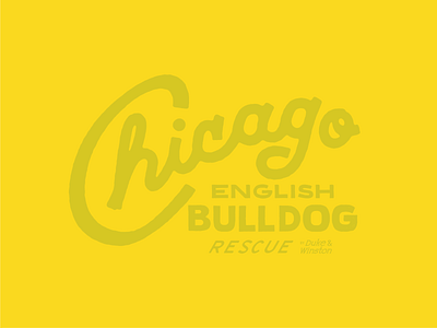 Bulldog Rescue branding drawing illustration lettering line art type typography