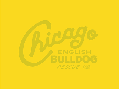 Bulldog Rescue branding drawing illustration lettering line art type typography