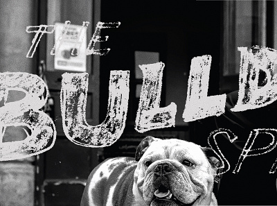 Bulldog Sketch design illustration lettering line art type typography