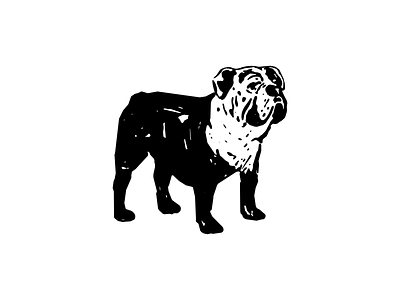 The Duke animal animal icon branding bulldog design dog drawing illustration logo pet