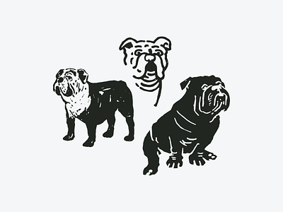 Bulldog Illustration Styles