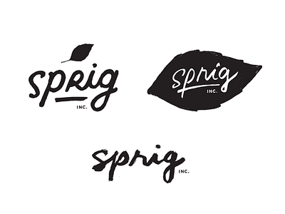 Sprig Logo - Additional Concepts lettering logo logo design sprig typography
