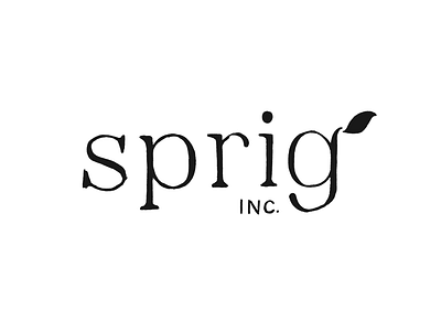 Sprig Serif Concept hand lettering illustration lettering typography