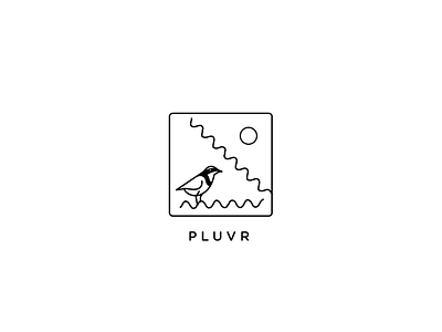 Pluvr - Logo Concept bird design icon illustration logo plover type